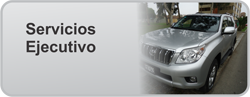 servicio ejecutivo
